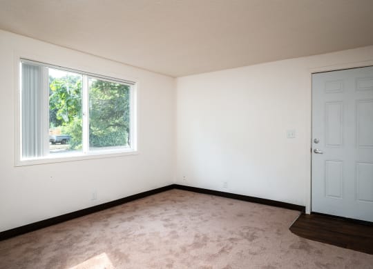 an empty room with a window and carpet