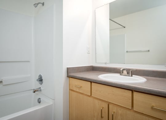 a bathroom with a sink and a bathtub