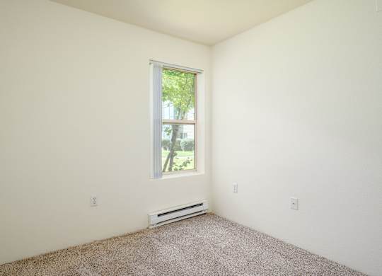 A room with a window and carpeted floor.