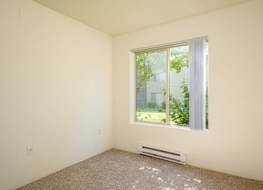 A room with a window and a carpet on the floor.