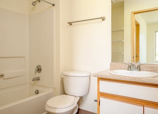 A white toilet sits next to a sink in a bathroom.
