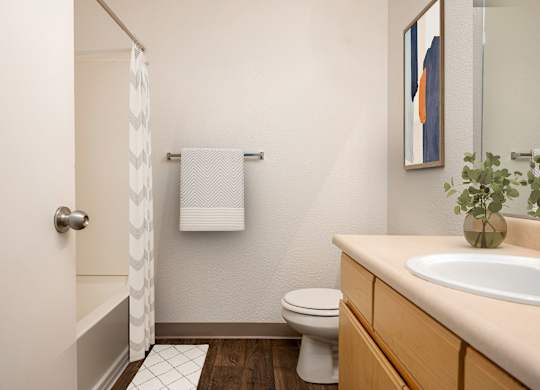 A bathroom with a toilet, sink, and a mirror.