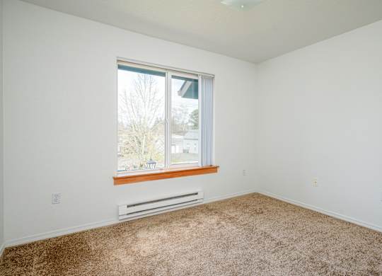 A room with a window and a carpeted floor.