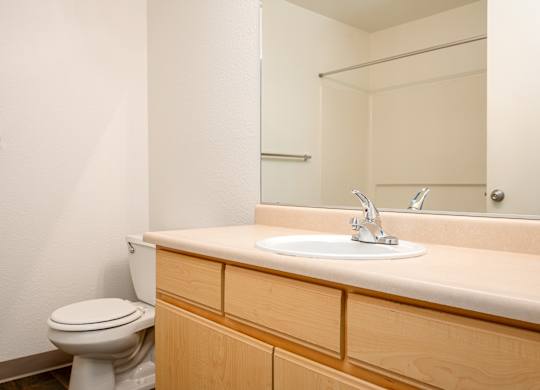 A bathroom with a toilet, sink, and mirror.