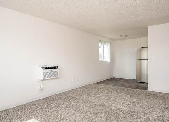 A room with a carpeted floor and a window.