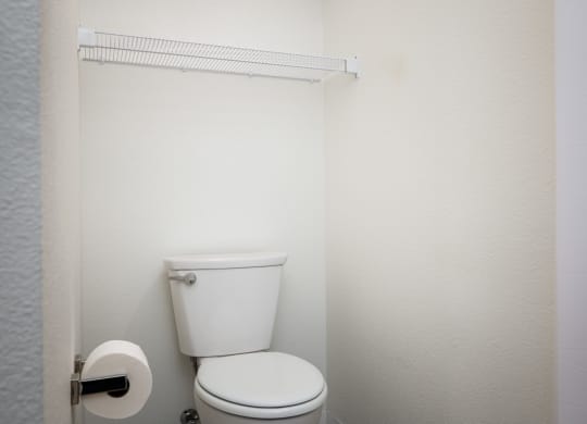 a bathroom with a toilet and a roll of toilet paper