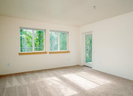 A room with three windows and carpeted floor.