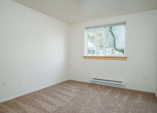 A room with a window and a carpet on the floor.