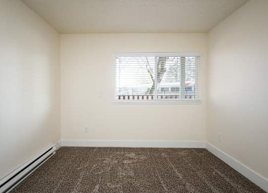 A room with a brown carpet and a window with blinds.