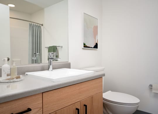 a bathroom with a sink and toilet and a mirror