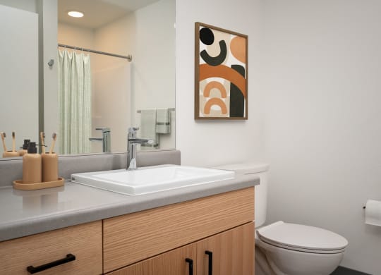 a bathroom with a sink toilet and a mirror