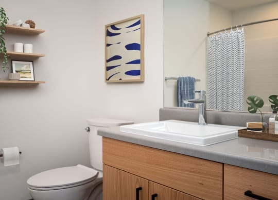 a bathroom with a sink and toilet and a mirror