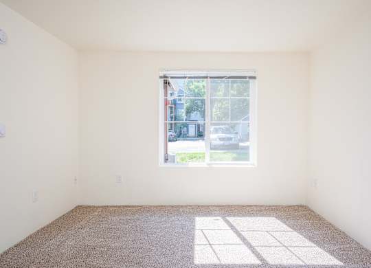 A room with a window and a carpet on the floor.