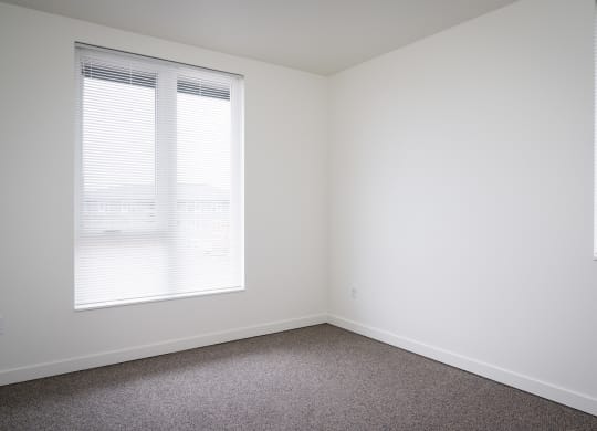 a small room with two windows and a carpeted floor