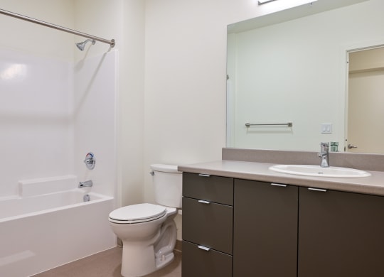 a bathroom with a bathtub toilet sink and mirror