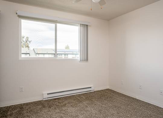 A room with a window and a carpeted floor.