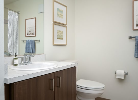 a bathroom with a sink and a toilet and a mirror