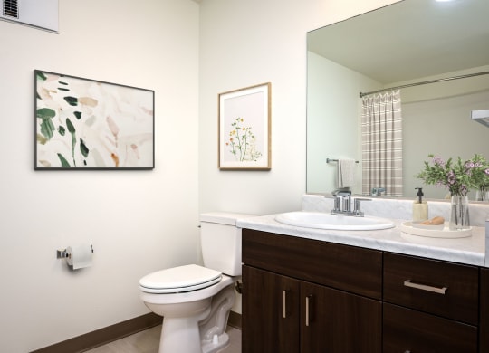 a bathroom with a toilet and a sink and a mirror