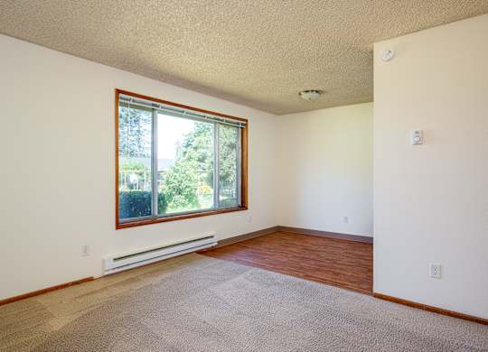 A room with a window and a carpet on the floor.