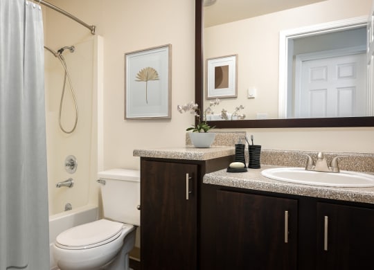 a bathroom with a toilet sink and shower and a mirror