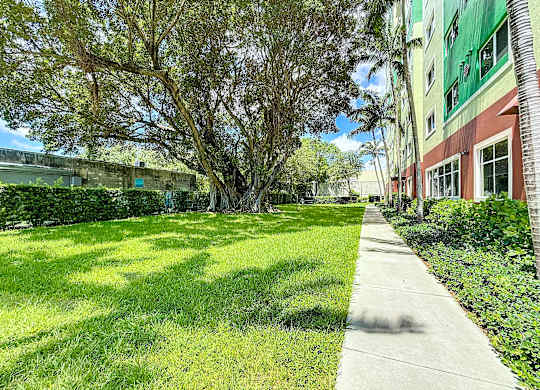 A tree-lined walkway in a park with a building in the background.