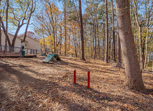 A playground with a red pole in the middle of a wooded area.