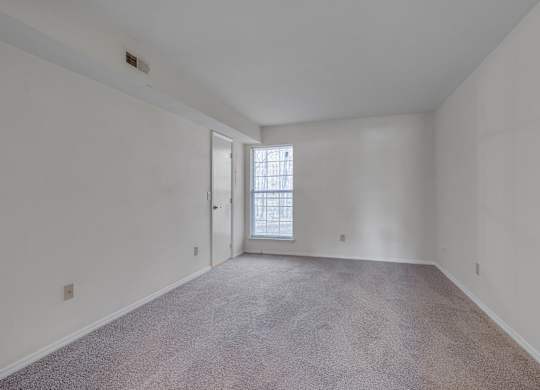 A room with a carpeted floor and a window with a white frame.