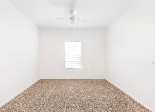 A room with a carpeted floor and a ceiling fan.