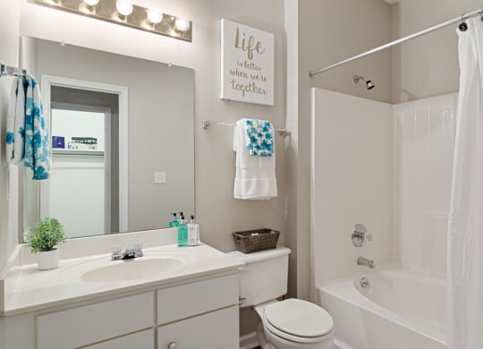 Bathroom with white cabinets with white countertops, white walls, and hardwood style flooring