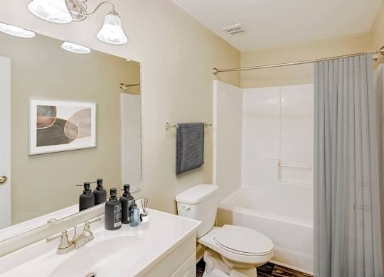 Bathroom With Bathtub at Brandemere Apartment Homes, Winston Salem, NC