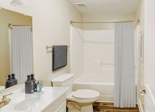 Custom Look Bathroom at Brandemere Apartment Homes, Winston Salem, North Carolina