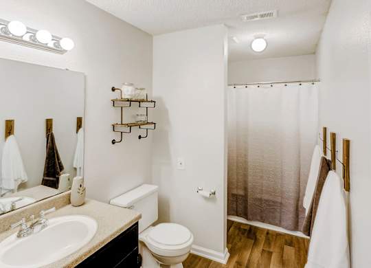 Vanity Lights at Brandemere Apartment Homes, Winston Salem, NC