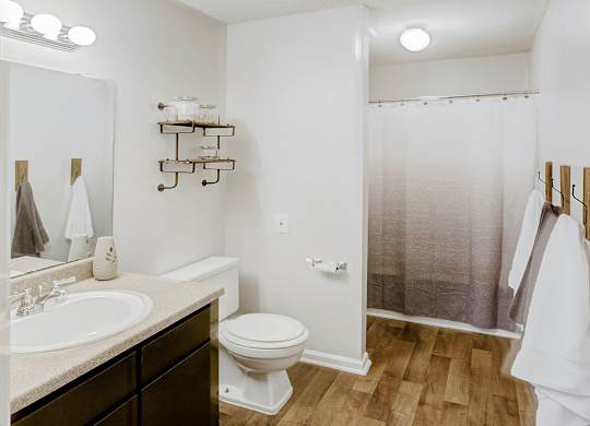 Luxurious Bathroom at Brandemere Apartment Homes, North Carolina