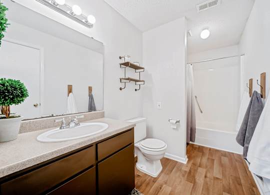 Modern Bathroom at Brandemere Apartment Homes, Winston Salem, NC