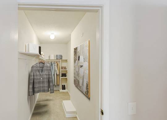 Large Closet at Brandemere Apartment Homes, Winston Salem, North Carolina