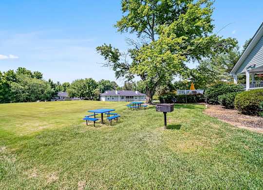 Picnic Table at Brandemere Apartment Homes, Winston Salem