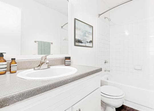 Modern Bathroom at Bridges at Mallard Creek Apartment Homes, North Carolina, 28269