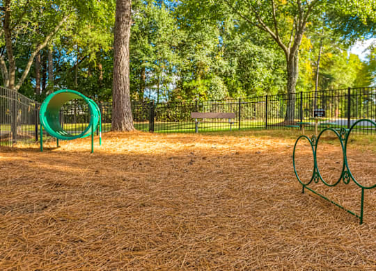 Play Area at Bridges at Mallard Creek Apartment Homes, Charlotte