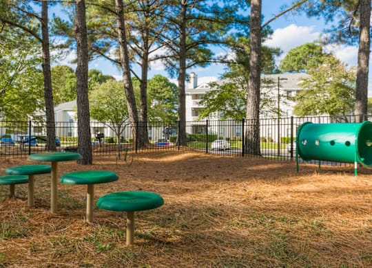 Paw Park at Bridges at Mallard Creek Apartment Homes, Charlotte, North Carolina