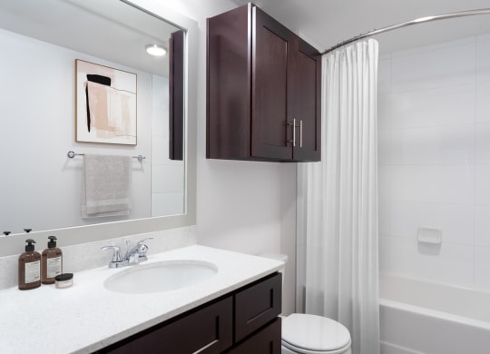 a bathroom with a sink and a toilet and a shower