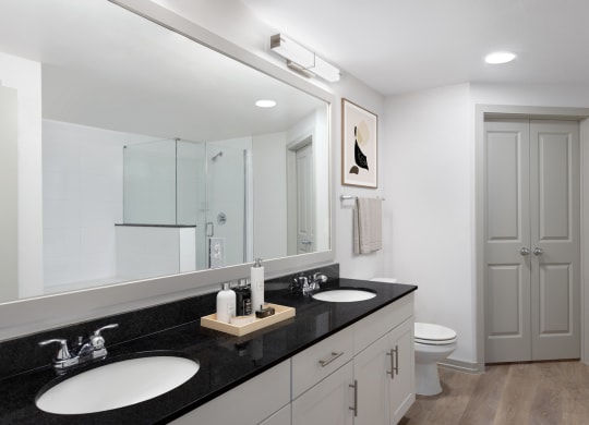 a bathroom with two sinks and a mirror