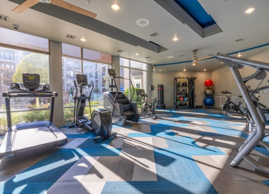 a gym with cardio machines and weights on a blue and white checkered floor