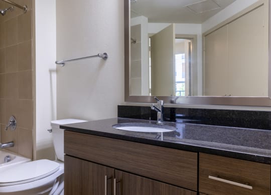 a bathroom with a sink and a toilet and a mirror