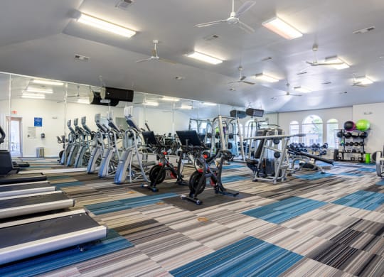 a gym filled with cardio equipment and weights