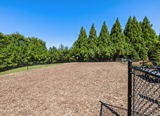Dog Park at Caveness Farms Apartments, Wake Forest North Carolina 