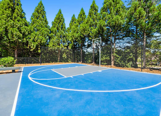 Basketball Court at Caveness Farms Apartments, Wake Forest, NC 