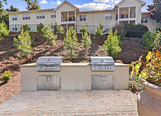 Grill Stations at Caveness Farms Apartments, North Carolina, 27587