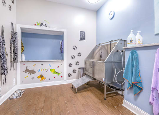 a baby room with a cot and wall stickers on the wall