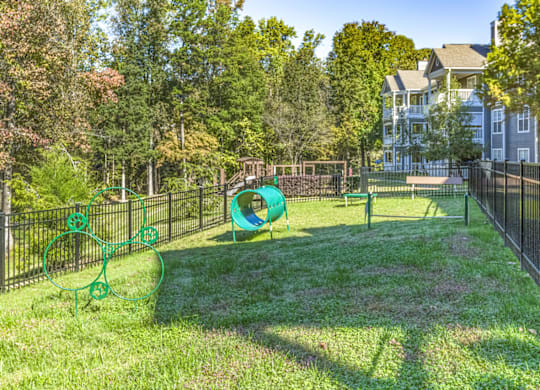our apartments showcase a dog park with a playground