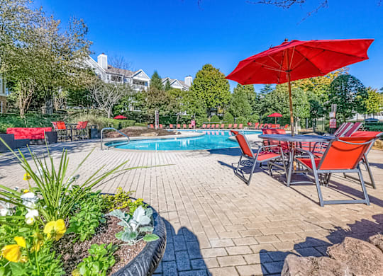 our apartments showcase a swimming pool